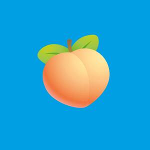 bbw nudist pageant - Brazilian butt lift: behind the world's most dangerous cosmetic surgery |  Plastic surgery | The Guardian