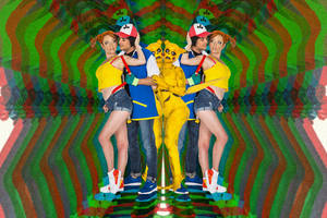 Funny Porn Certificates - 