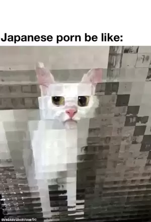 Japanese Funny Porn Meme - Japanese porn be like - BreakBrunch