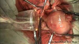 3d Shota Boy Gay Porn - Shota Natsvlishvili (Shotanatsvlishvili) YouTube Stats: Subscriber Count,  Views & Upload Schedule