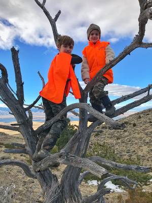 Junior High Sex Porn - Little men being little men. Me: â€œDon't climb up the dead