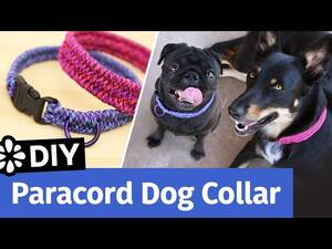 Dog Collar Leash Bondage Forced Lesbian Porn - DIY Paracord Dog Collar | Small, Medium, Large Size | Sea Lemon - YouTube