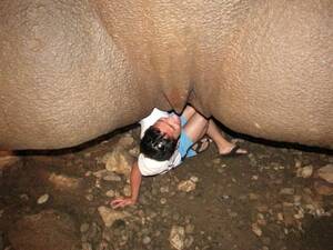 nature - Nature porn. : r/WTF