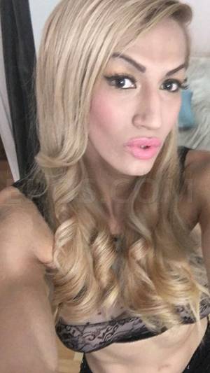 florida eros transsexuals - TS Full Body massage Sobe by Johana