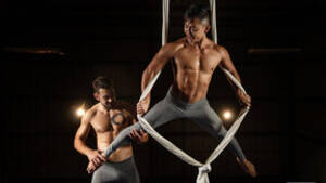 Gay Gymnasts Porn - Gymnast Porn â€“ Gay Male Tube