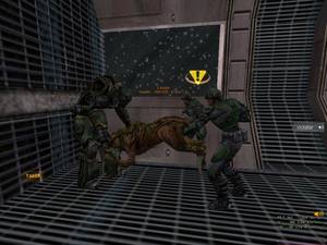 Ahab Porn - NS Porn, by Capt Ahab