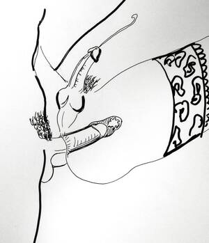 anotomical transexual anal illustration - Sissy Anatomy (55 photos) - porn