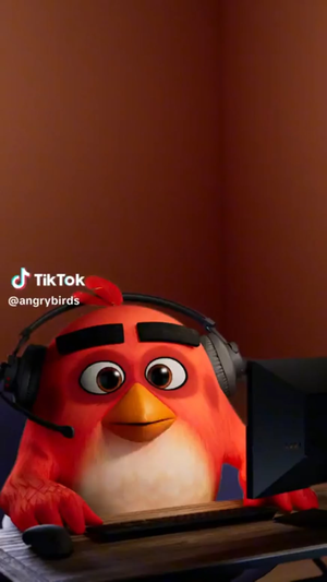 Angry Birds Furry Porn Gay - the fuck is going on with angry birds rule : r/196