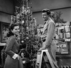 Andy Griffith Show Fake - Elinor Donahue and Andy Griffith in The Andy Griffith Show