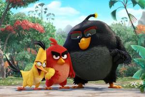 Angry Birds Porn Videos - The birds of Angry Birds finally have their own movie. \