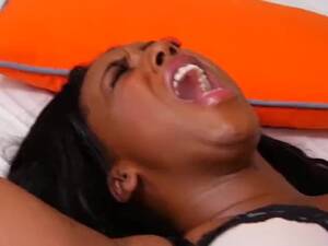 Hamster With Big Ass Ebony Porn - Hamster With Big Ass Ebony Porn | Sex Pictures Pass