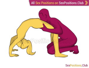 anal sex positions kneeling - Sex Positions For Anal Play - 50 Variants With Pictures | ff.axsel-line.ru