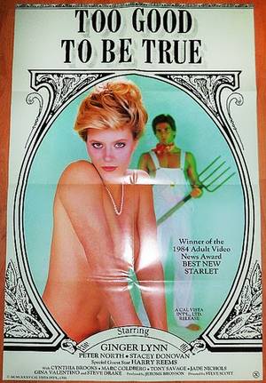 Ginger Lynn Sex Asylum - 