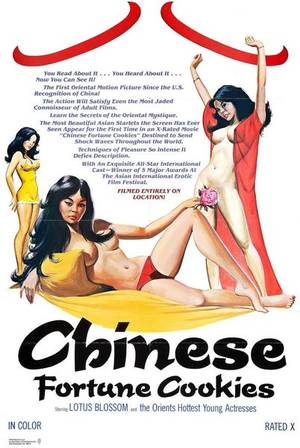 1980s Chinese Porn - screenshot