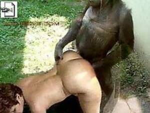 Girl Has Sex With Monkey - Teen monkey sex clips - Hot porno.