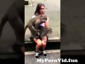 Monkey Sex Girl - Girl fuck on monkeyðŸ’‹ðŸ’‹ðŸ’‹ðŸ˜±ðŸ˜±ðŸ˜±ðŸ˜±ðŸ˜±ðŸ˜±#viral #funny #shorts from porn monky  fucking women Watch Video - MyPornVid.fun