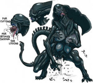 Alien Vs Predator Xenomorph Porn - parody:alien vs predator - E-Hentai Galleries