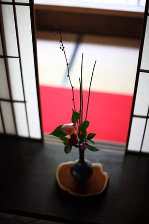 japanese nude ikebana - Ikebana