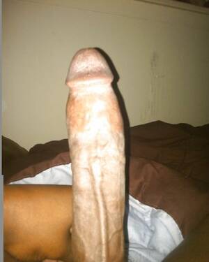 long penis gallery - Late Night Big dick Porn Pictures, XXX Photos, Sex Images #322651 - PICTOA