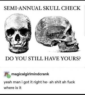 asian skull fuck - Semi-annual check, do you still have yours? : r/tumblr