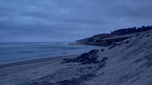 amateur topless beach florida - Can the 1984 Murder of Claire Hough be Solved by DNA Evidence? - The  Atlantic