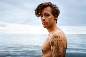 naked beach sucking - The Eternal Sunshine of Harry Styles