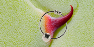 nipple clamp movies - 15 Best Nipple Clamps of 2024 - How to Use Nipple Clamps