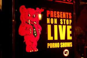 couple live sex show amsterdam - Casa Rosso - Erotic Show in Amsterdam.