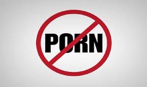 Banned Content Porn - Porn ban: Telecom Ministry to allow those sites which do not host sexual  content involving minors | India.com