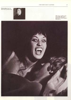 70s Vampire Porn - ... low-budget 'sex' vampire films of such directors as Jean Rollin and  Roger Vadim. Blurring the lines between softcore porn and art house horror,  ...