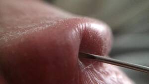 Close Up Cocks - Penis Glans Tissue On Ultra Closeup Hd View (handheld Macro Is A Real  Challenge) - xxx Mobile Porno Videos & Movies - iPornTV.Net