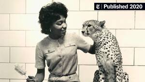 cum forced to barn swallow - Mary J. Wilson Was Baltimore's First Black Senior Zookeeper - The New York  Times