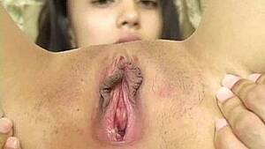 Alexis Pussy Love - alexis love' Search - XNXX.COM