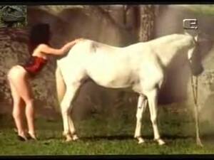 Classic Brazil Porn - Porno vintage brazilian - ZB Porn