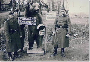 Nazi From The 1940s - cryptomundo.com. Classic bear.
