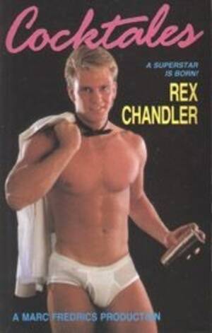 1989 Gay Porn - Bareback Cocktales (1989) - Rex Chandler, Beau Edwards Free Download from  Filesmonster