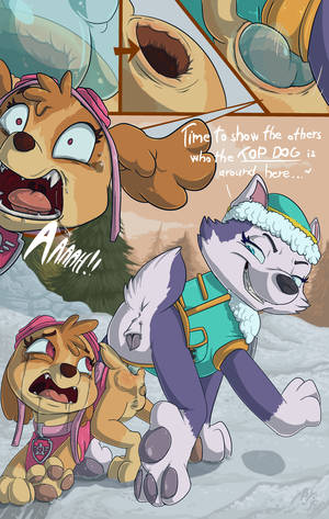 anal knot - Statistics