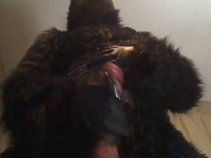 Gay Gorilla Porn - gorilla wanking | xHamster