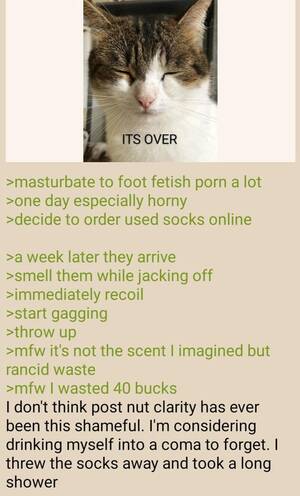 Cat Fetish Porn - Anon has a foot fetish : r/greentext