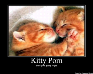 kitty jail - Kitty Porn - Picture