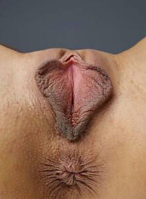 fat pussy lips close up - Closeups at Labia Love