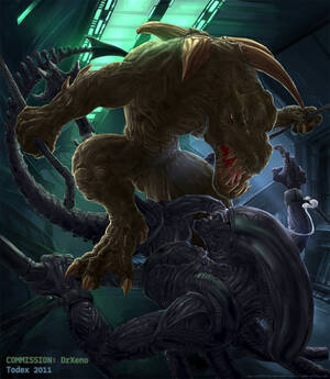 Alien Xenomorph Hentai Gay Porn - Rule 34 - alien alien (franchise) anal anal sex balls crossover cum cumshot  erection gay interspecies krall male male only male xenomorph missionary  position orgasm penetration penis sex todex unreal unreal tournament