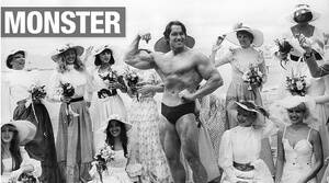 Arnold Schwarzenegger Gay Porn - Arnold Schwarzenegger: Not Nice | Broadsheet.ie