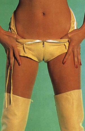 70 Retro Porn Cameltoes - Retroâ€”Fucking