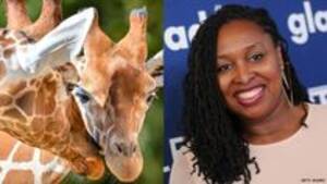 Giraffe Hot Kinky Porn - British Politicians Are Fighting Over Giraffe Sexuality