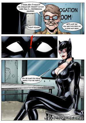 Batman Catwoman Cartoon Porn - Batman and Catwoman - Porn Cartoon Comics
