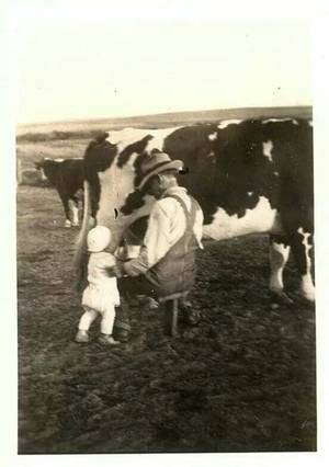 Cow Daisy Barnyard Porn - Helping grandaddy milk the cow