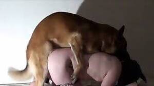 Bestiality Slave Porn - Slave Animal Porn