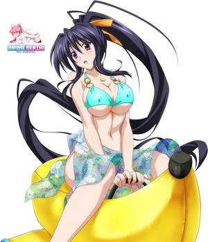 Anime Sexy Crawl - High School DxD - Himejima Akeno