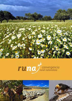 ba%C3%B1o - CalamÃ©o - Libro Digital RUNA